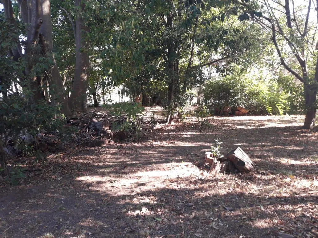Terreno venta - 20x56mts - 1119mts2 totales - El Rodeo, Abasto, La Plata 3