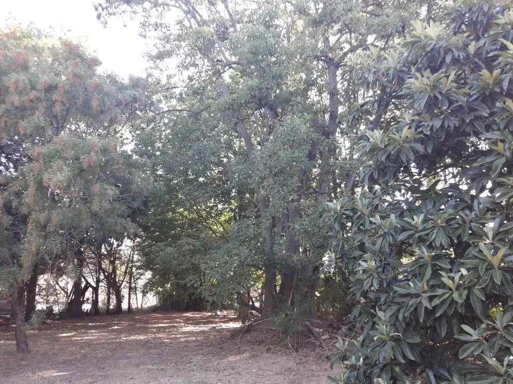 Terreno venta - 20x56mts - 1119mts2 totales - El Rodeo, Abasto, La Plata 4