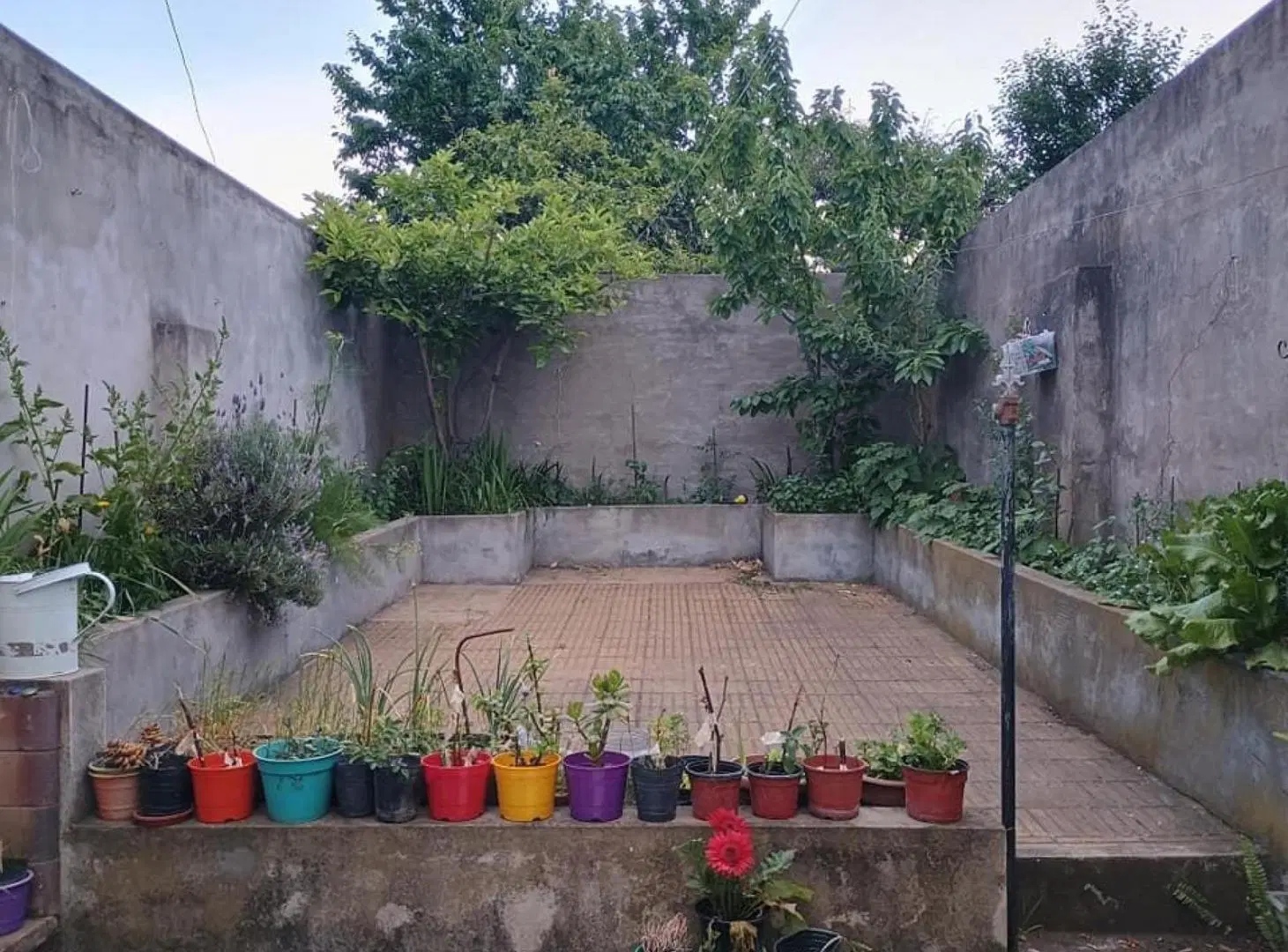 Casa con depto en venta sobre Av. Alvear - 4 Dormitorios 3 Baños - Tandil centro 5