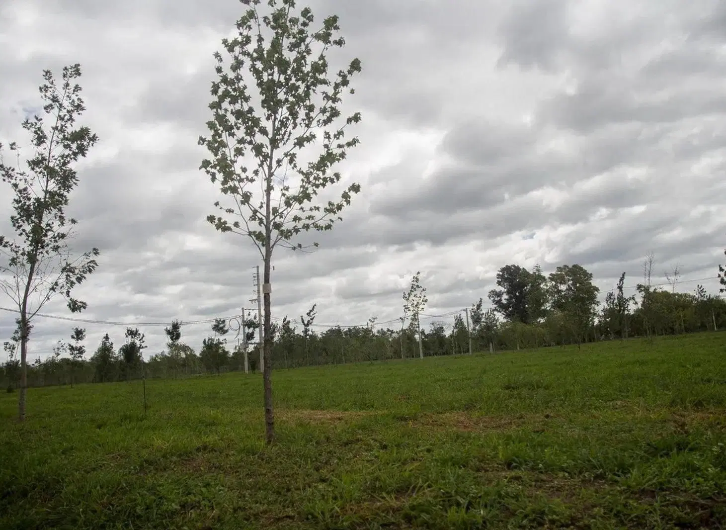 Terreno en venta - 804Mts2 - Escobar 5