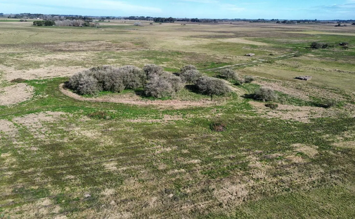 Campo en venta - 50 Hectáreas - General Madariaga 5