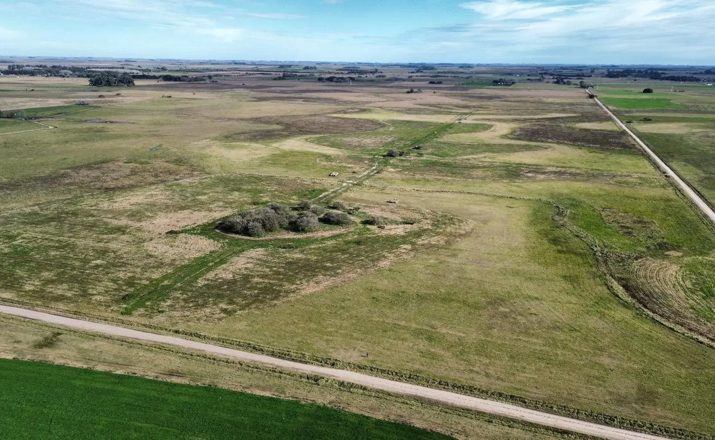 Campo en venta - 50 Hectáreas - General Madariaga 2