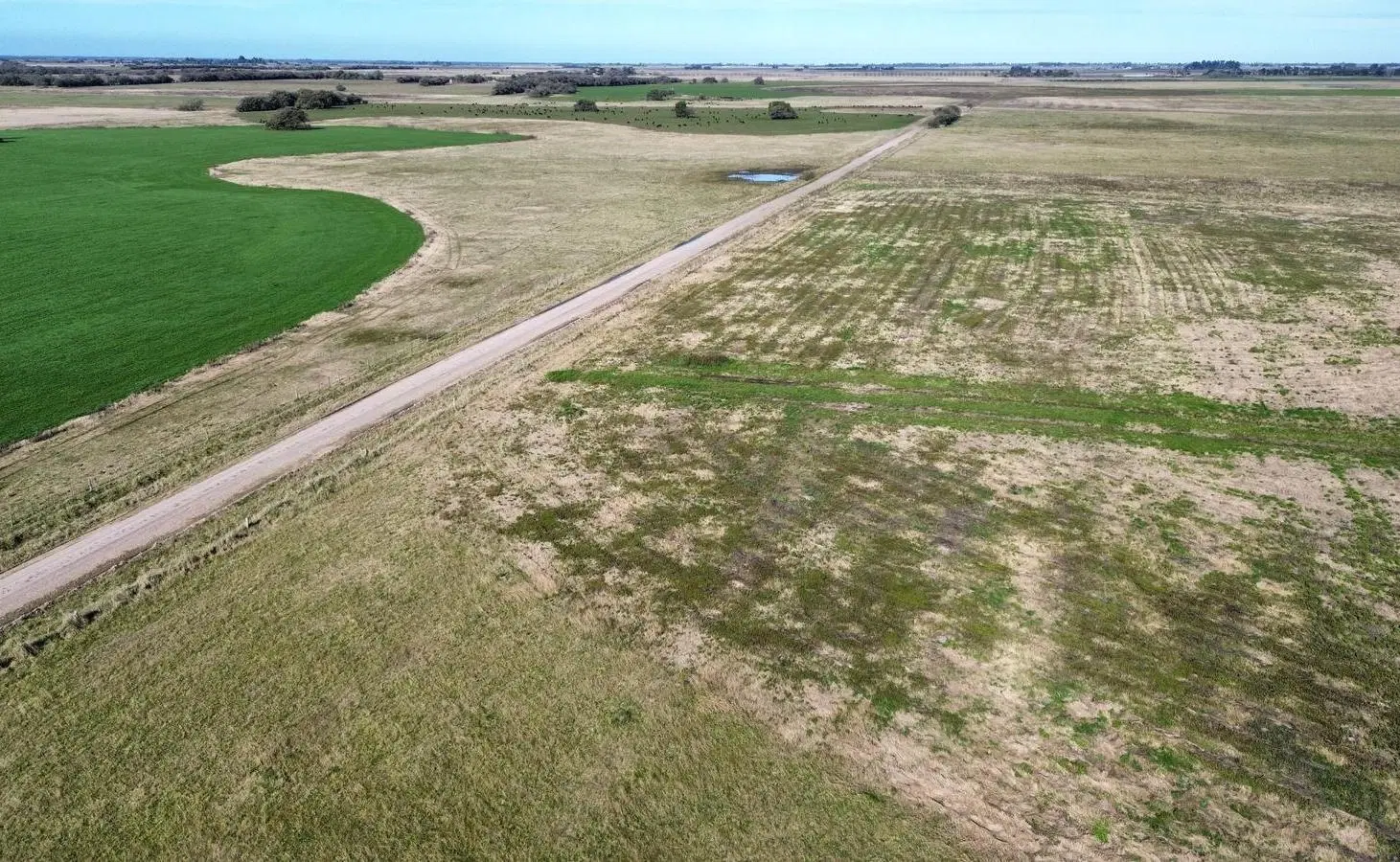 Campo en venta - 50 Hectáreas - General Madariaga 4
