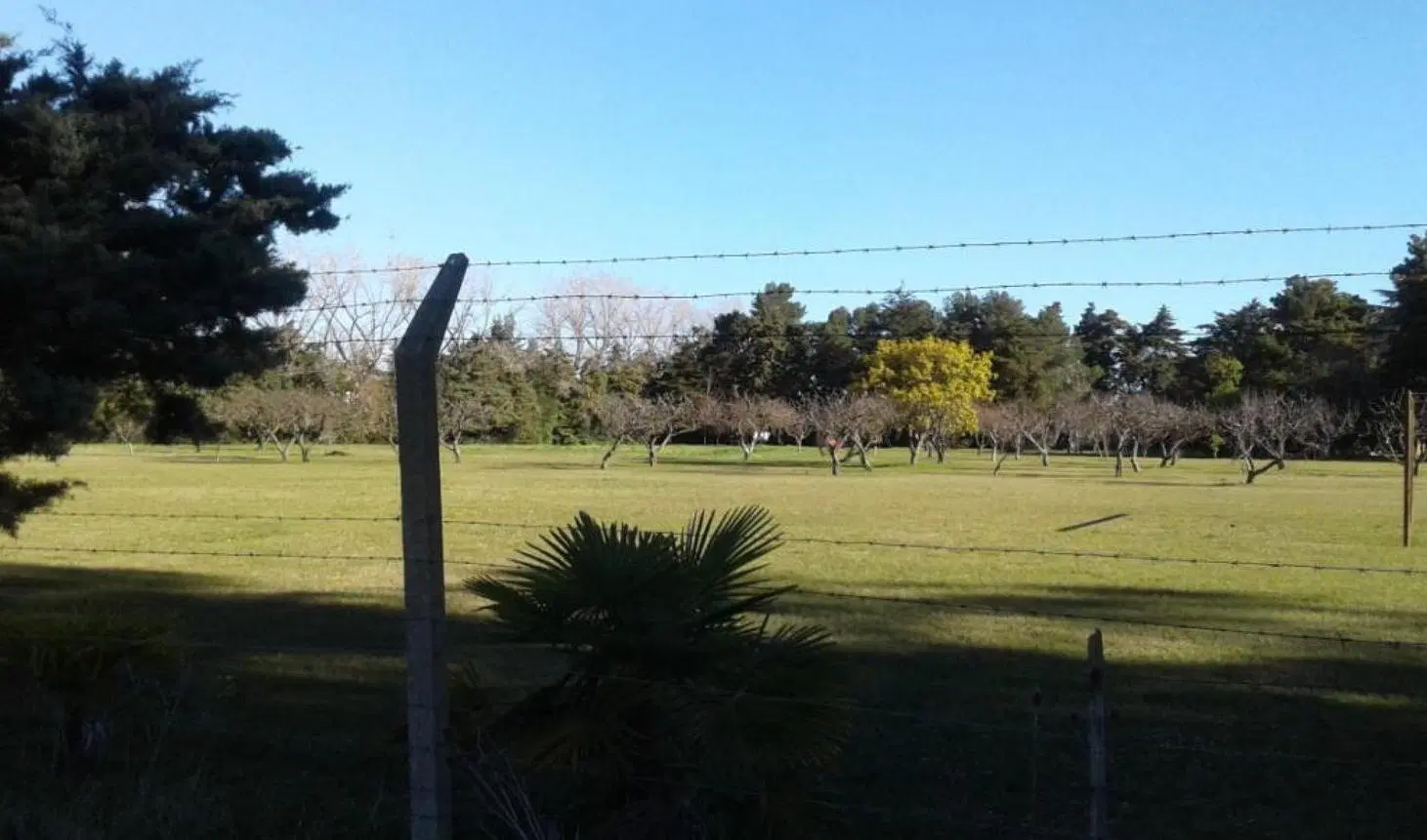 Terreno en venta - 275mts2 - San Carlos, La Plata 5