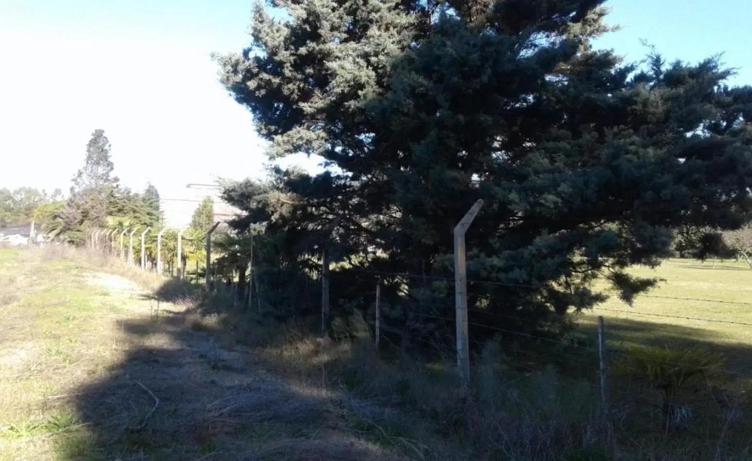 Terreno en venta - 275mts2 - San Carlos, La Plata 4