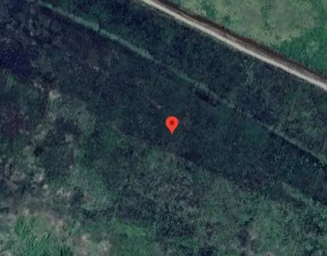 Campo en venta - 93.023 mts2 - Isla de Zarate, Rio Pasaje Talavera 5