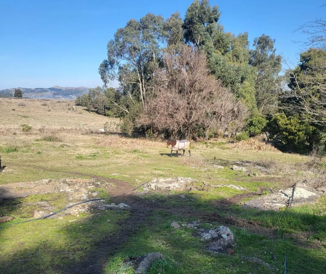Terreno en venta - 800Mts2 - Tandil 4