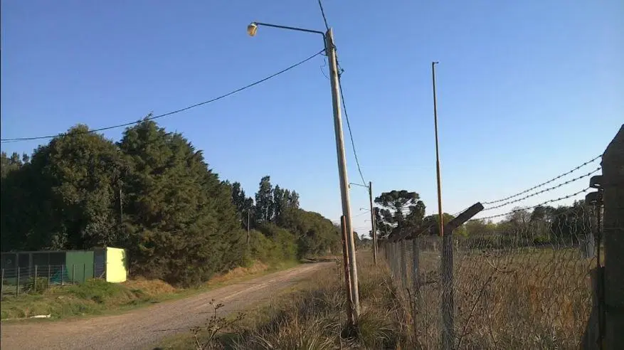 Campo venta - 71,2 x 224 Mts - 1,6Hectareas -  Pergamino 4