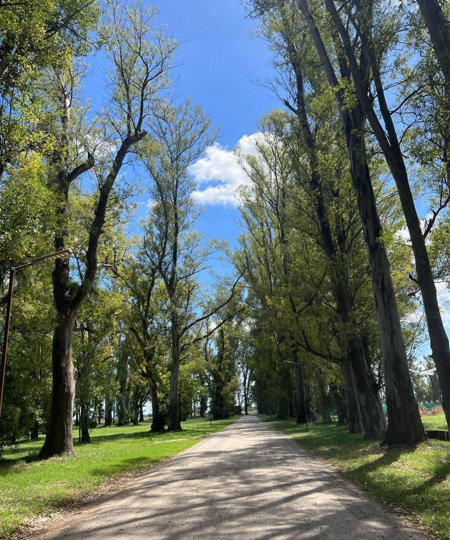 Terreno en venta - 1.200mts2 totales - Los Tres Pinos, General Rodríguez