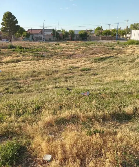 Imagen de la propiedad