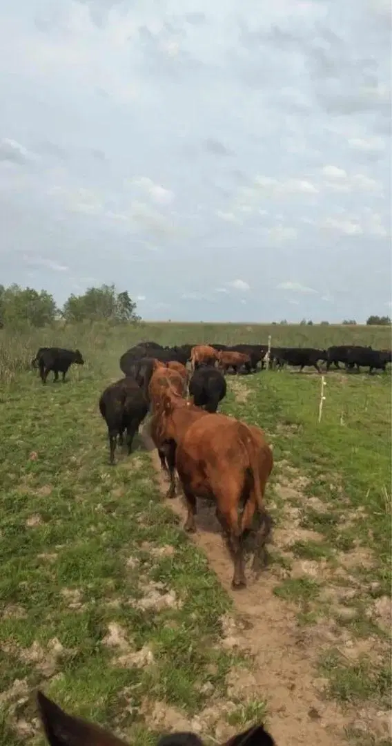 Campo en venta - 11.870.000mts2 - Entre Ríos 5