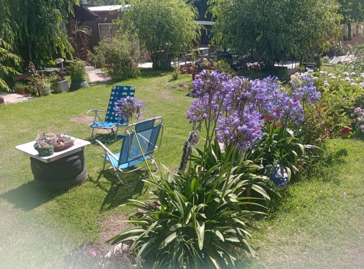 Departamento en alquiler temporario - 1 Dormitorio 1 Baño - Mar del Plata 5