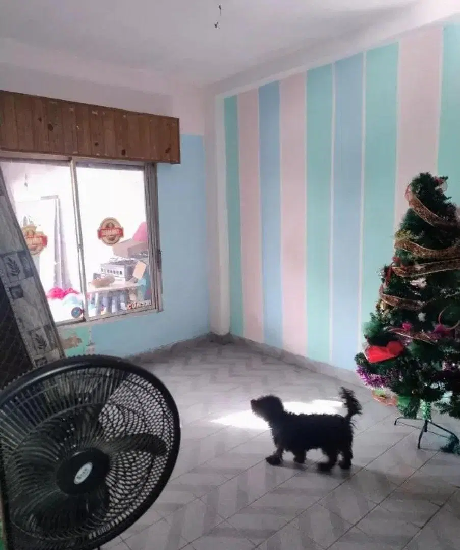 Casa en venta - 2 Dormitorios 2 Baños - 330Mts2 - Gonzalez Catán 3