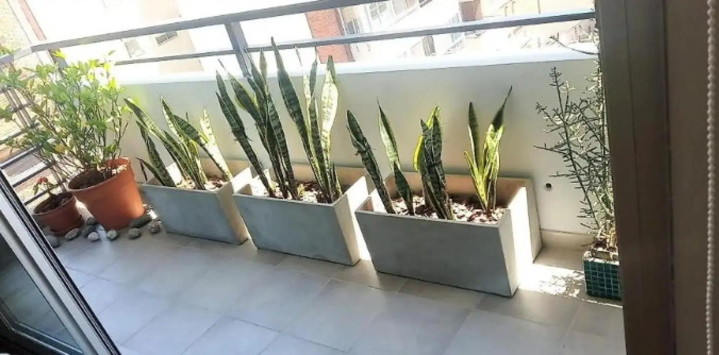 Departamento en venta - 2 Dormitorios 2 Baños - Parque Chacabuco 3