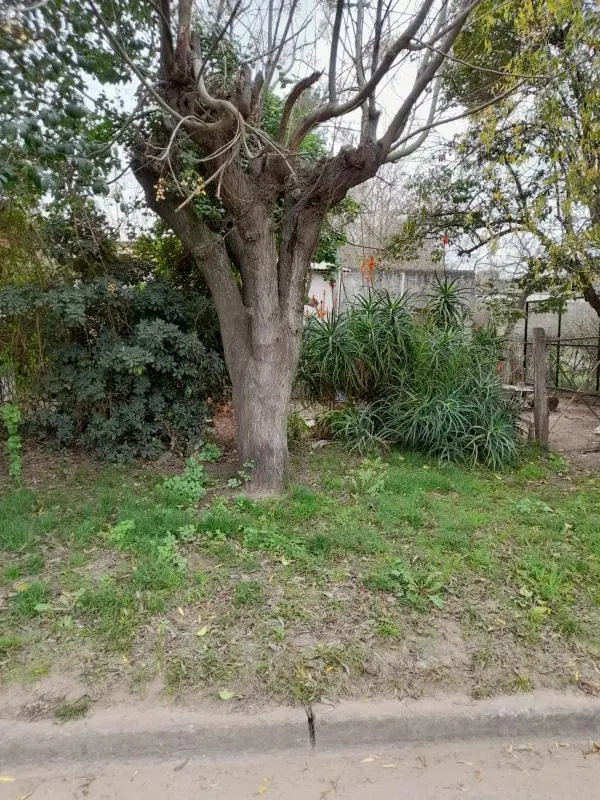 Terreno en venta - 348Mts2 - Coronel Brandsen 2