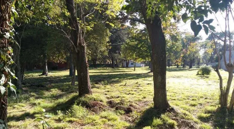 Terreno en venta - 826,25mts2 - General Rodríguez 4