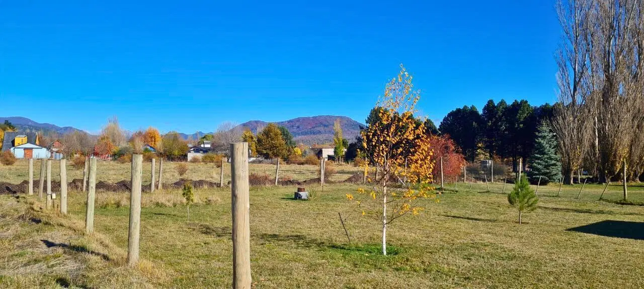 Terreno en venta - 600mts2 - San Martín de los Andes 5