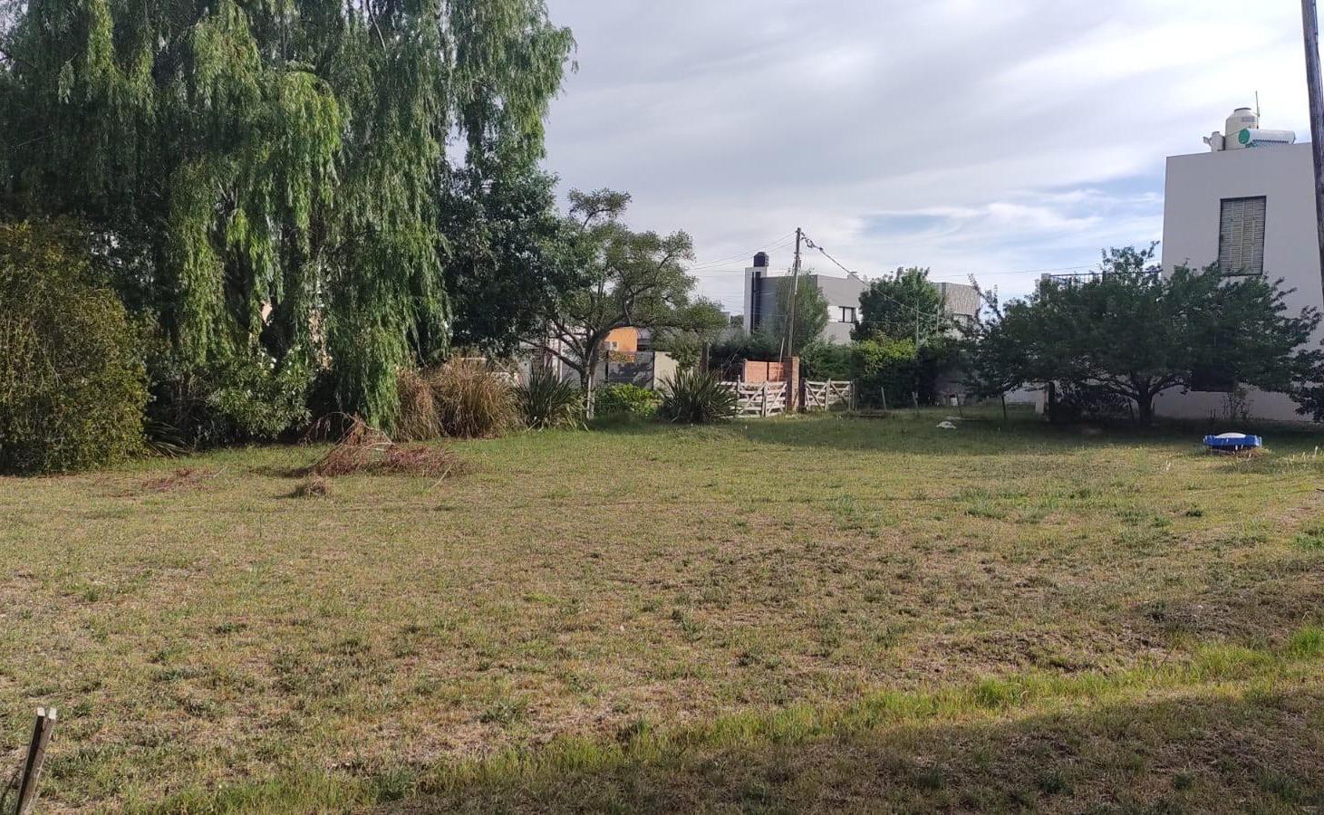 Terreno en venta - 900Mts2 - Villa Parque Sicardi