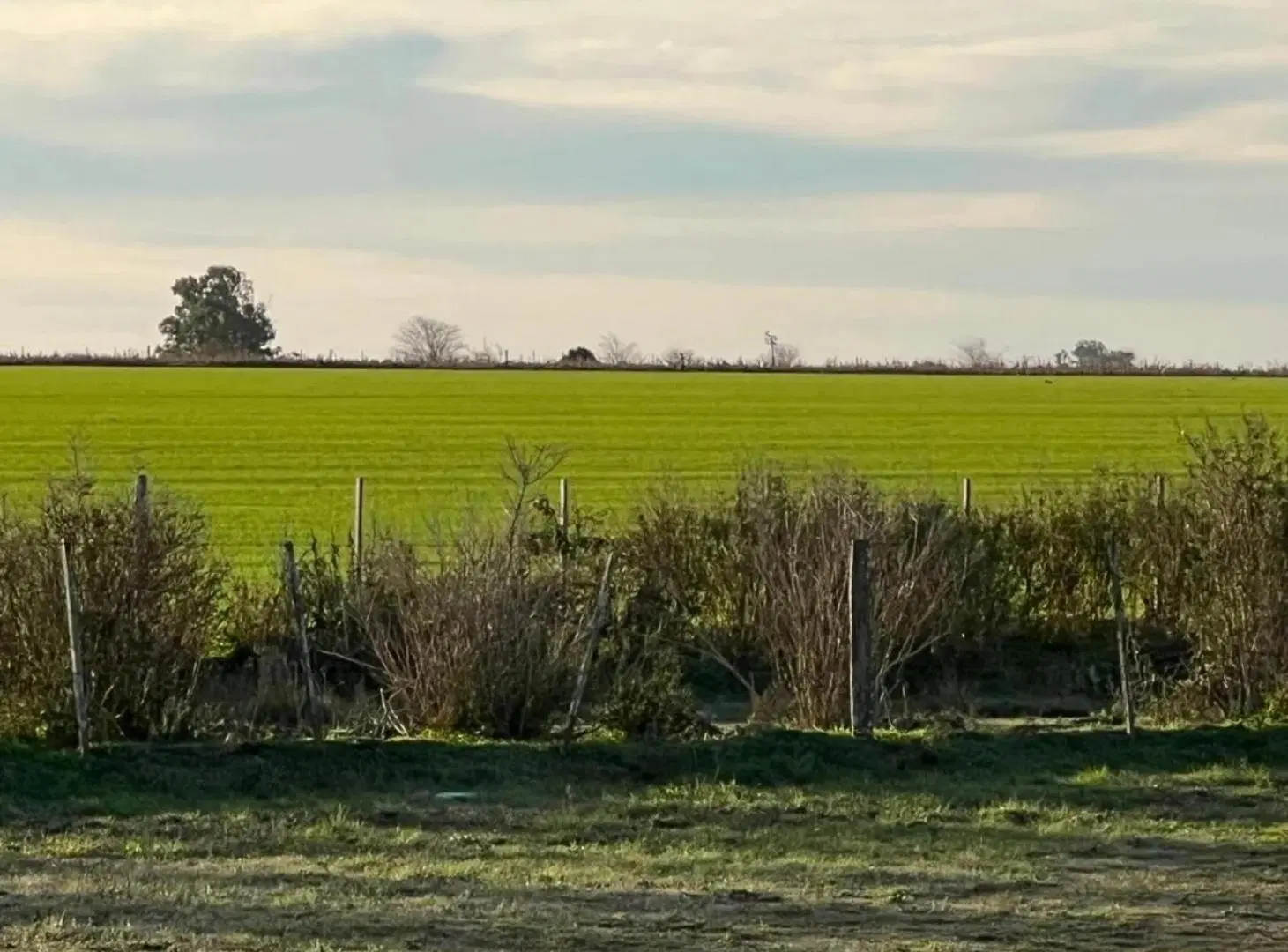 Terreno en venta - 10.000Mts2 - San Antonio de Areco 3