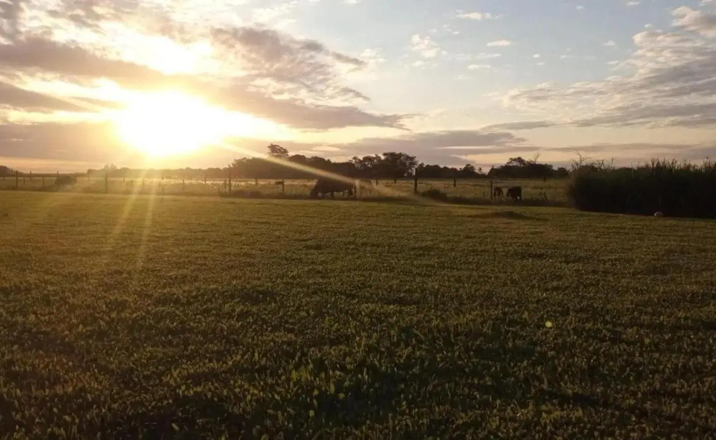 Terreno en venta - 10.000Mts2 - San Antonio de Areco 1