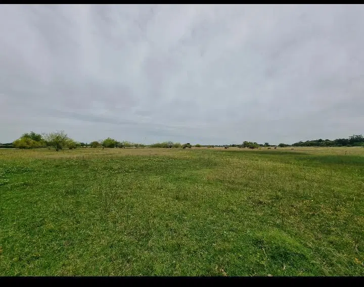 Campo en venta - 78.8 hectareas - General Rodríguez 2