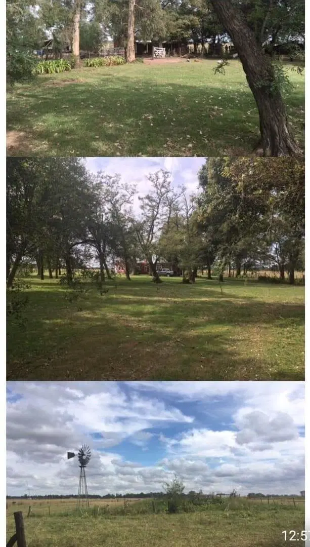 Campo en venta - 78.8 hectareas - General Rodríguez 3