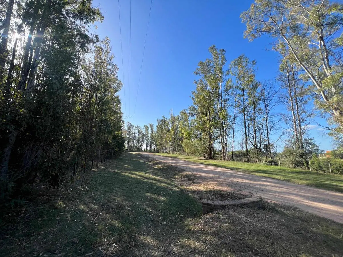 Terreno en venta - 10.000Mts2 - El Paraíso, Ramallo 3