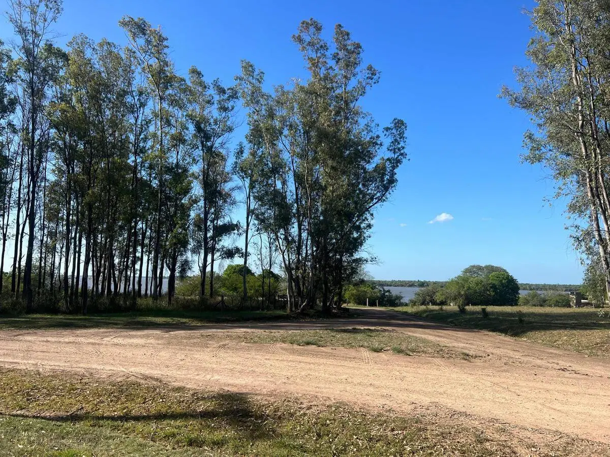 Terreno en venta - 10.000Mts2 - El Paraíso, Ramallo 5