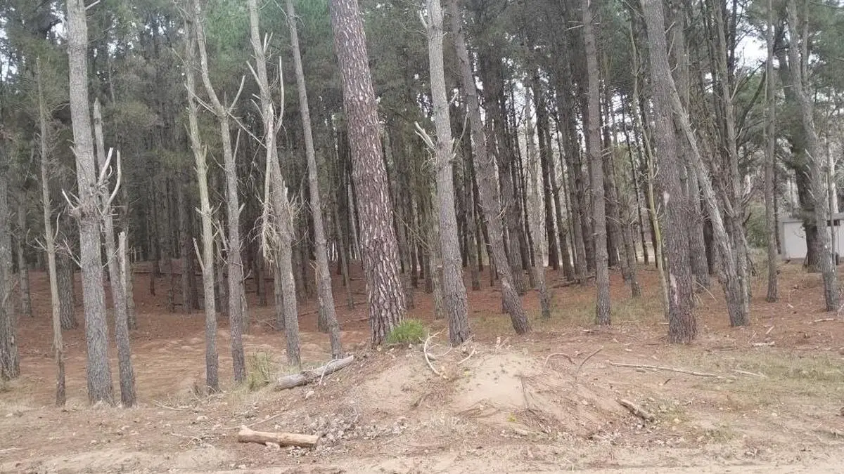 Terreno en venta - 950Mts2 - Serene, Villa Robles, Pinamar 3