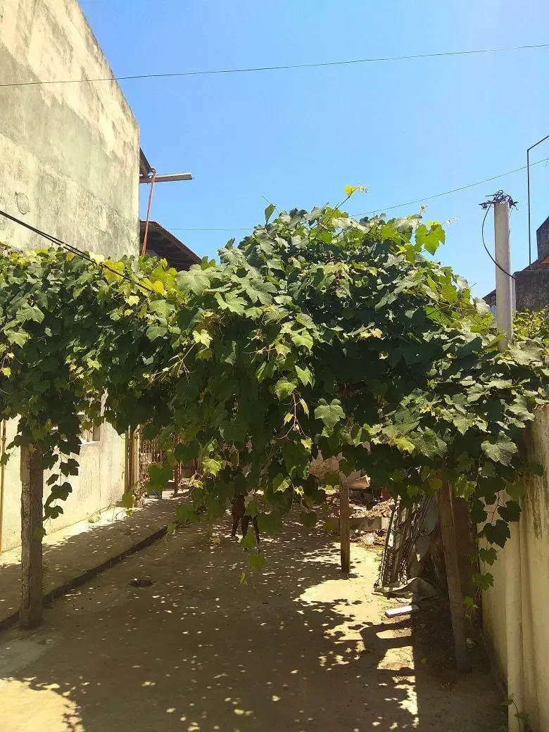 Casa en venta - 4 Dormitorios 2 Baños - Cochera - 450Mts2 - Laferrere, La Matanza 3