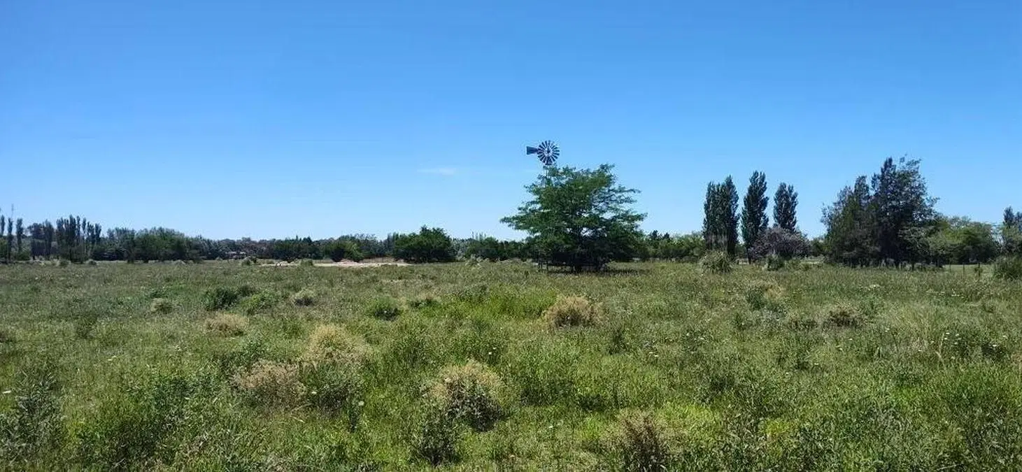 Terreno en venta - 23.636Mts2 - Estancia Benqueria, Monte 1