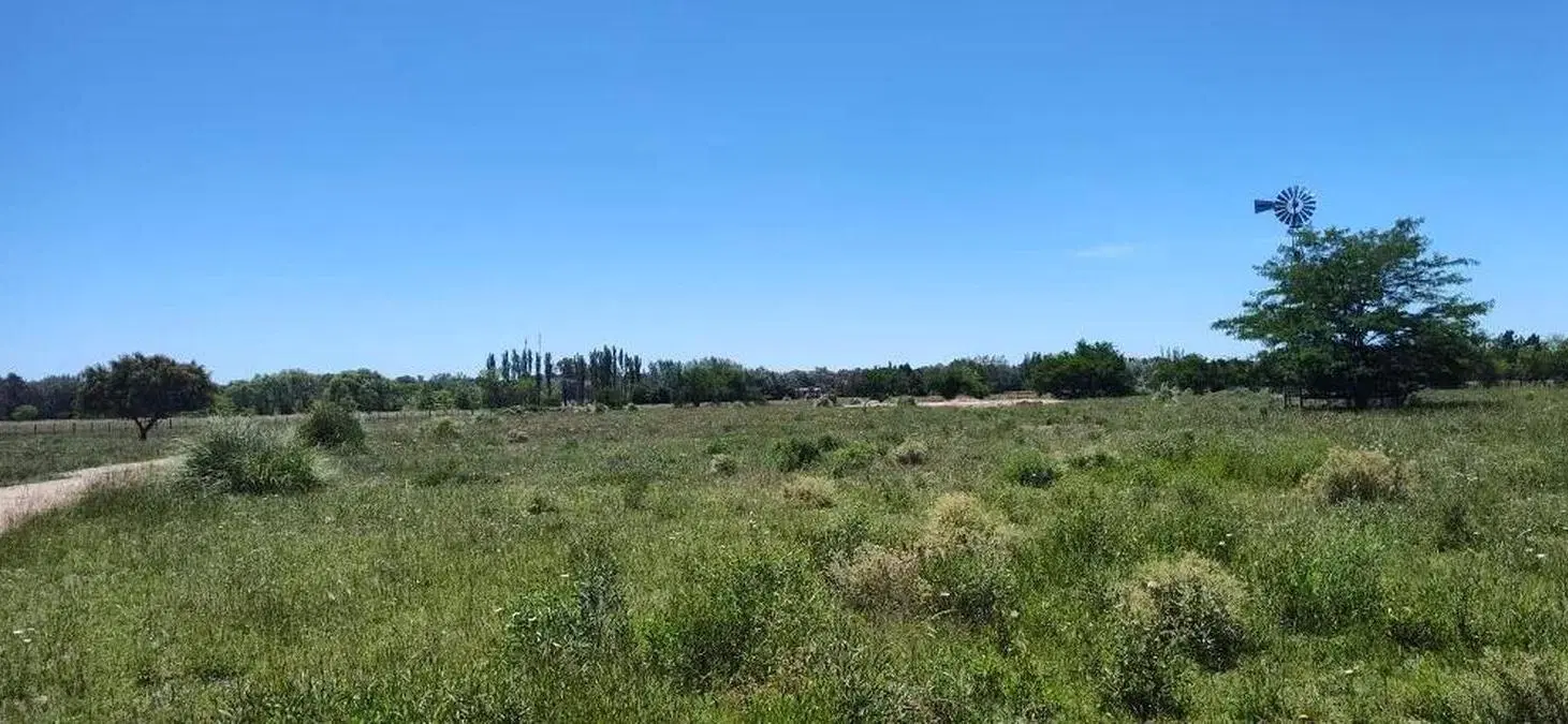 Terreno en venta - 23.636Mts2 - Estancia Benqueria, Monte 5