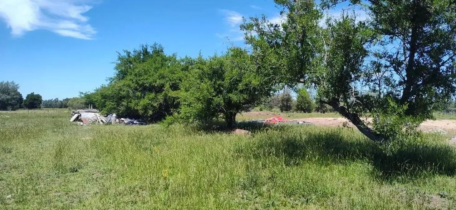Terreno en venta - 23.636Mts2 - Estancia Benqueria, Monte 2