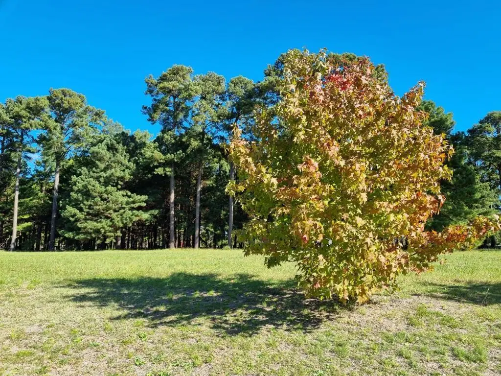 Terreno en venta - 1600mts2 - Los Pinares Country Club, Exaltación de la Cruz 1