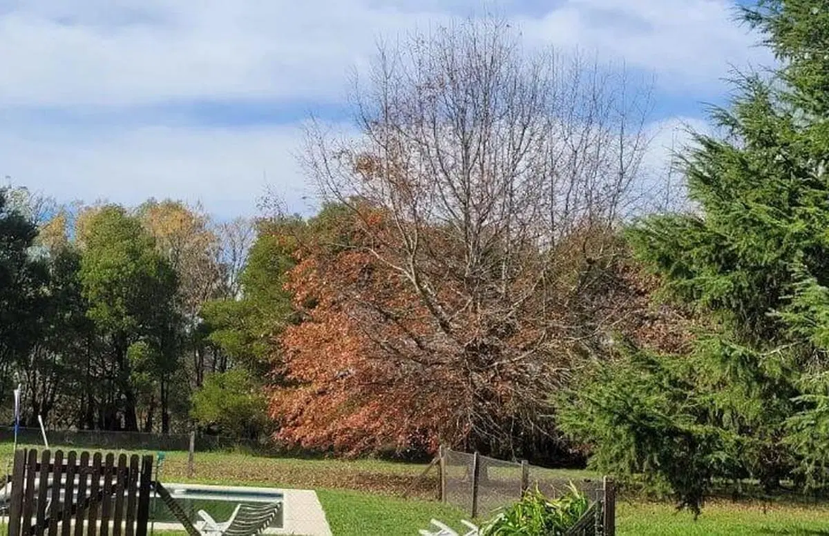Quinta en venta - 2 Dormitorios 1 Baño - 10.000Mts2 - Lobos 4