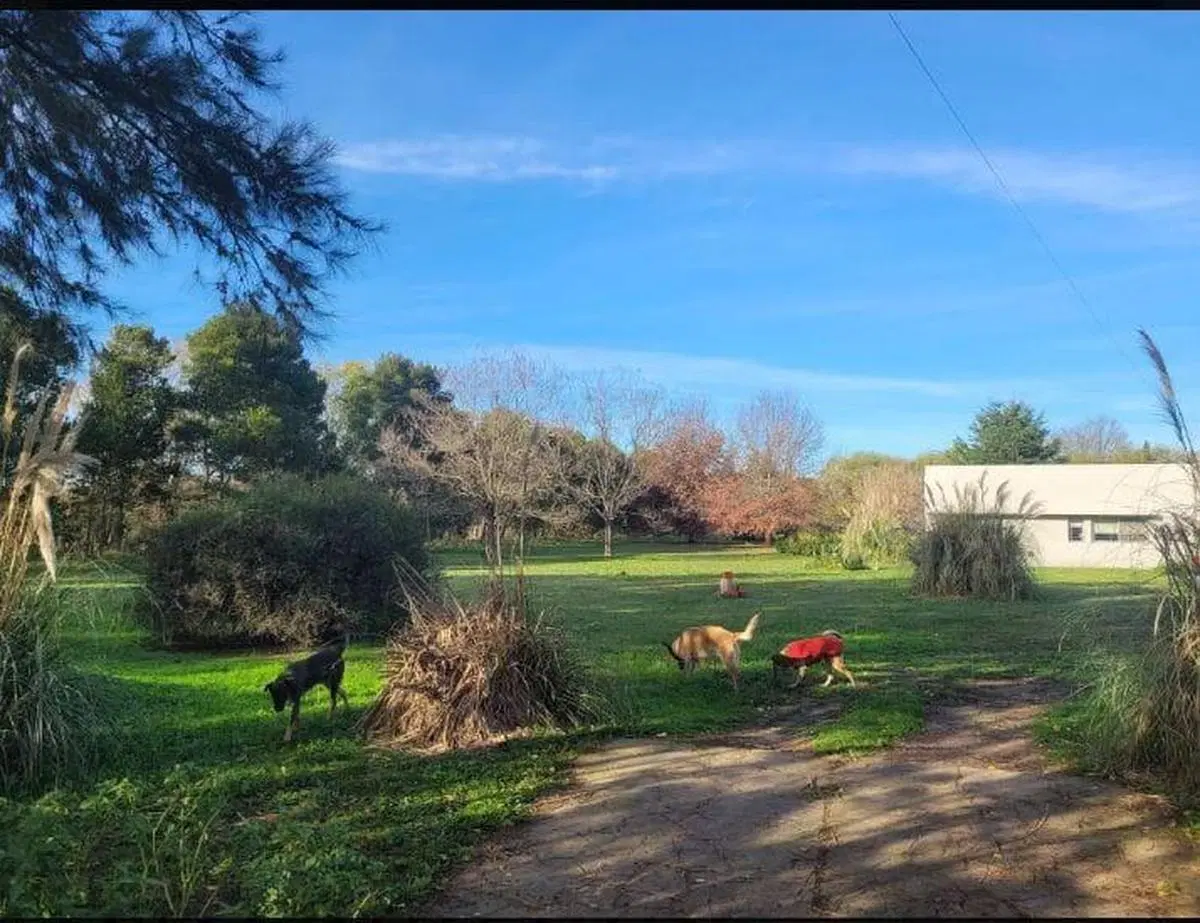 Quinta en venta - 2 Dormitorios 1 Baño - 10.000Mts2 - Lobos 2
