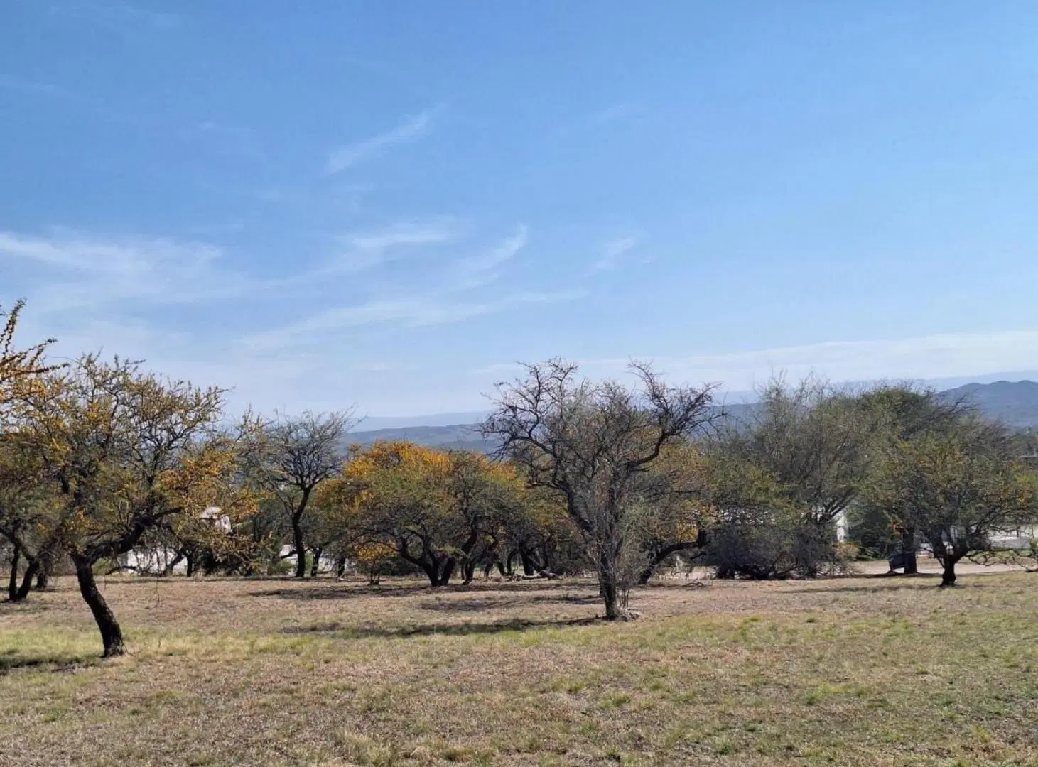 Terreno en venta - 2.000Mts2 - Córdoba 5