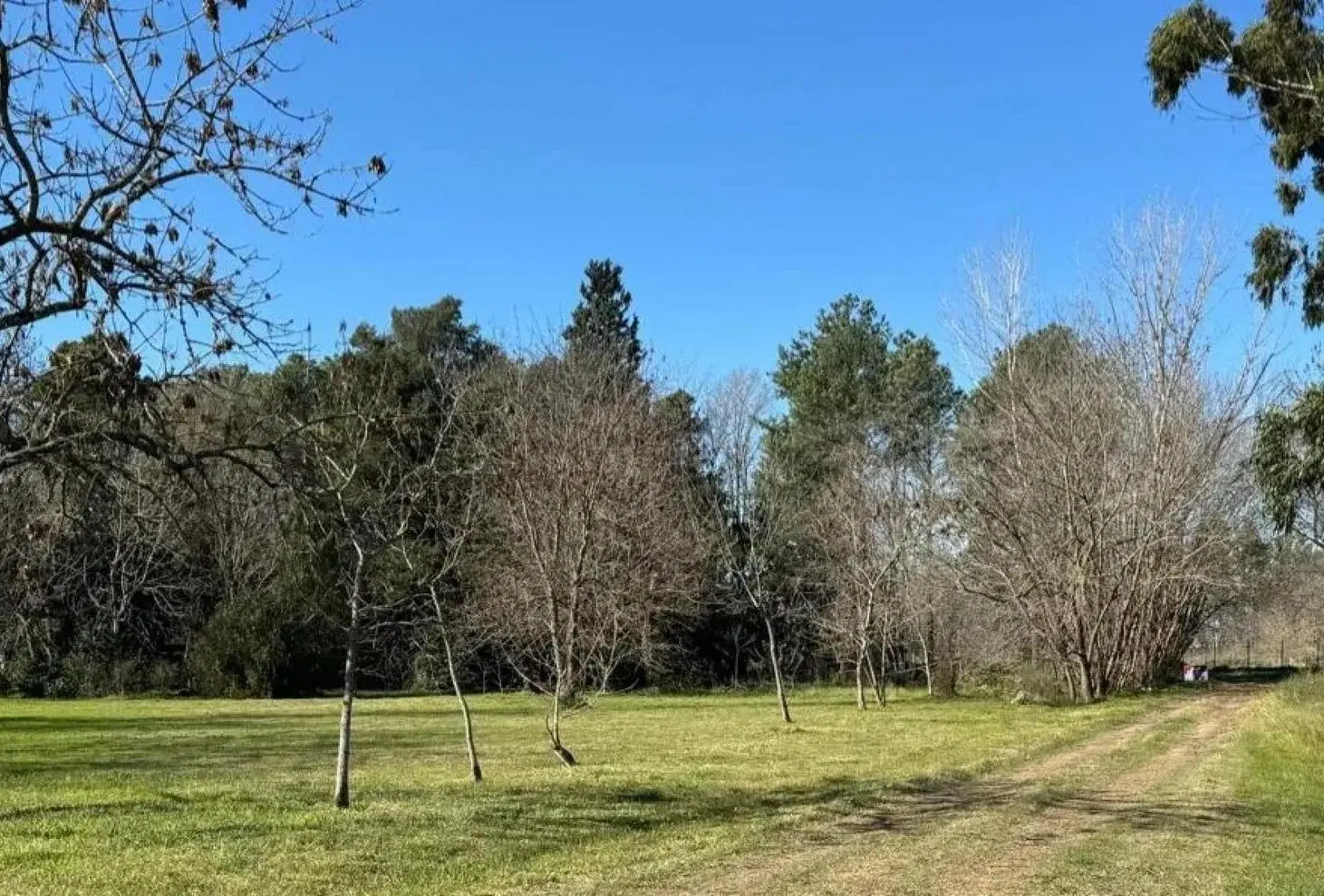 Terreno en venta - 1.600mts2 - Guernica 2