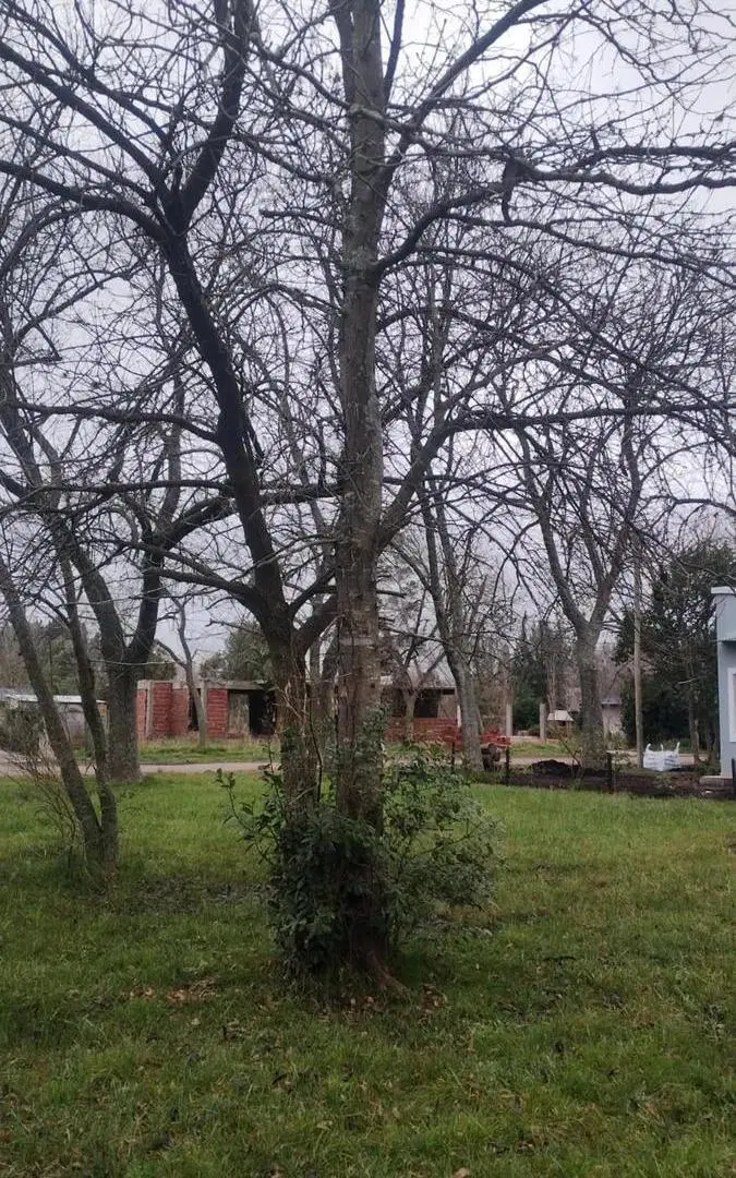 Terreno en venta - 1.600mts2 - Guernica 5