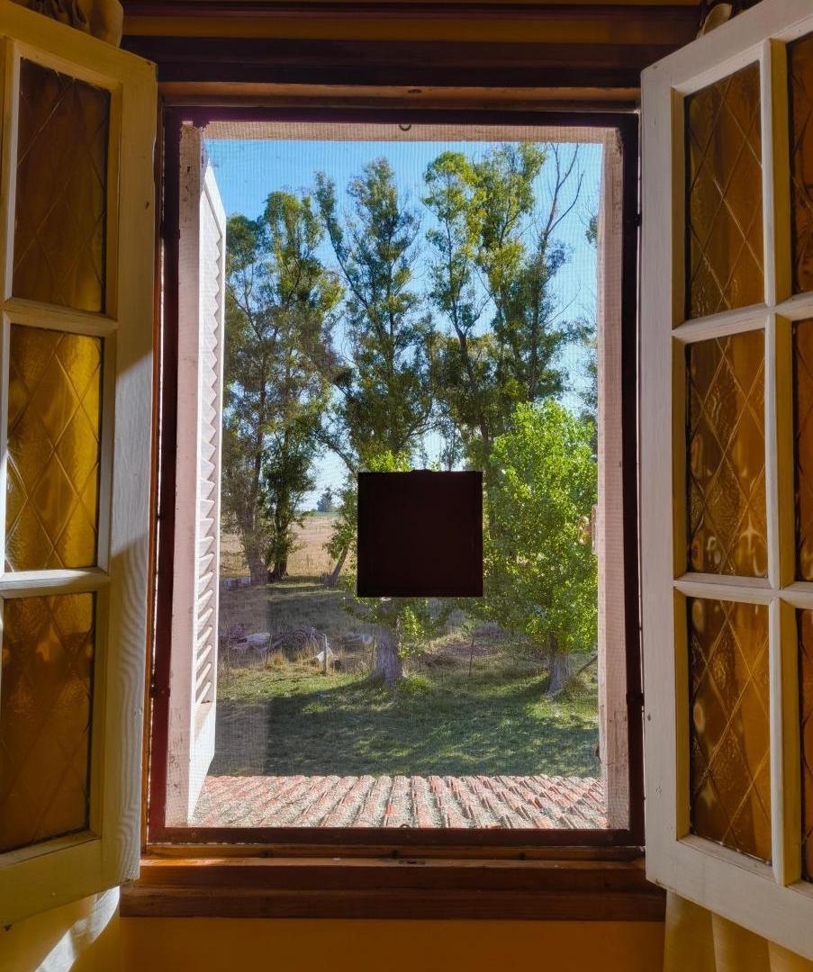 Casa en venta - 4 Dormitorios 3 Baños - Saladillo