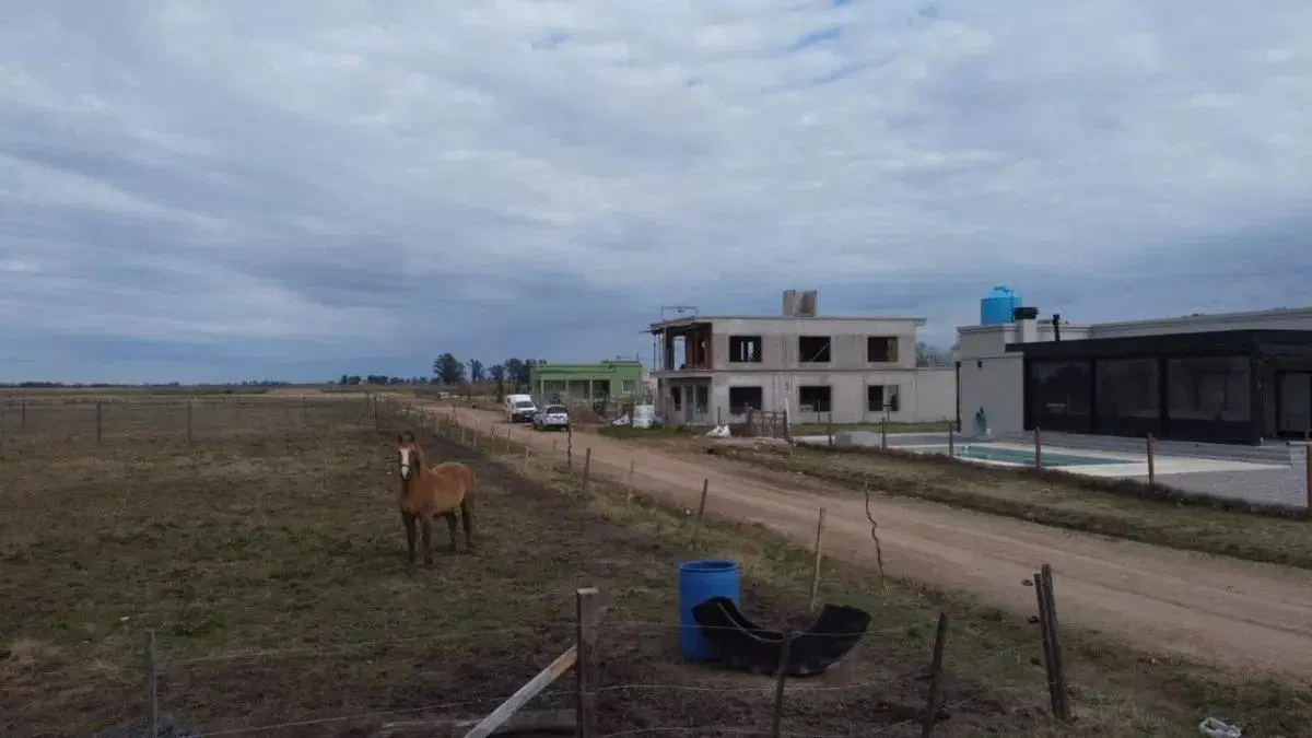 Campo en venta - 14.400Mts2 - Uribelarrea, Cañuelas 4