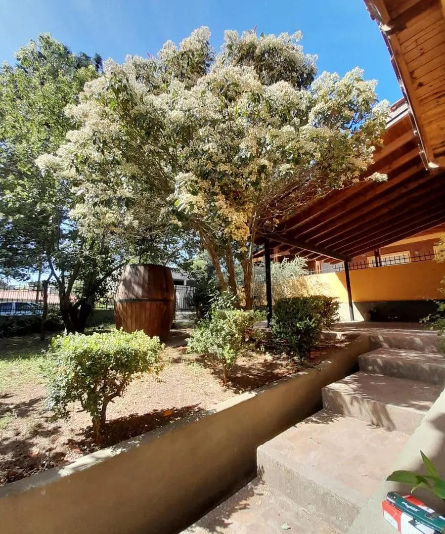 Casa en venta - 4 Dormitorios 5 Baños - Cocheras - 540Mts2 - Monte Hermoso 2