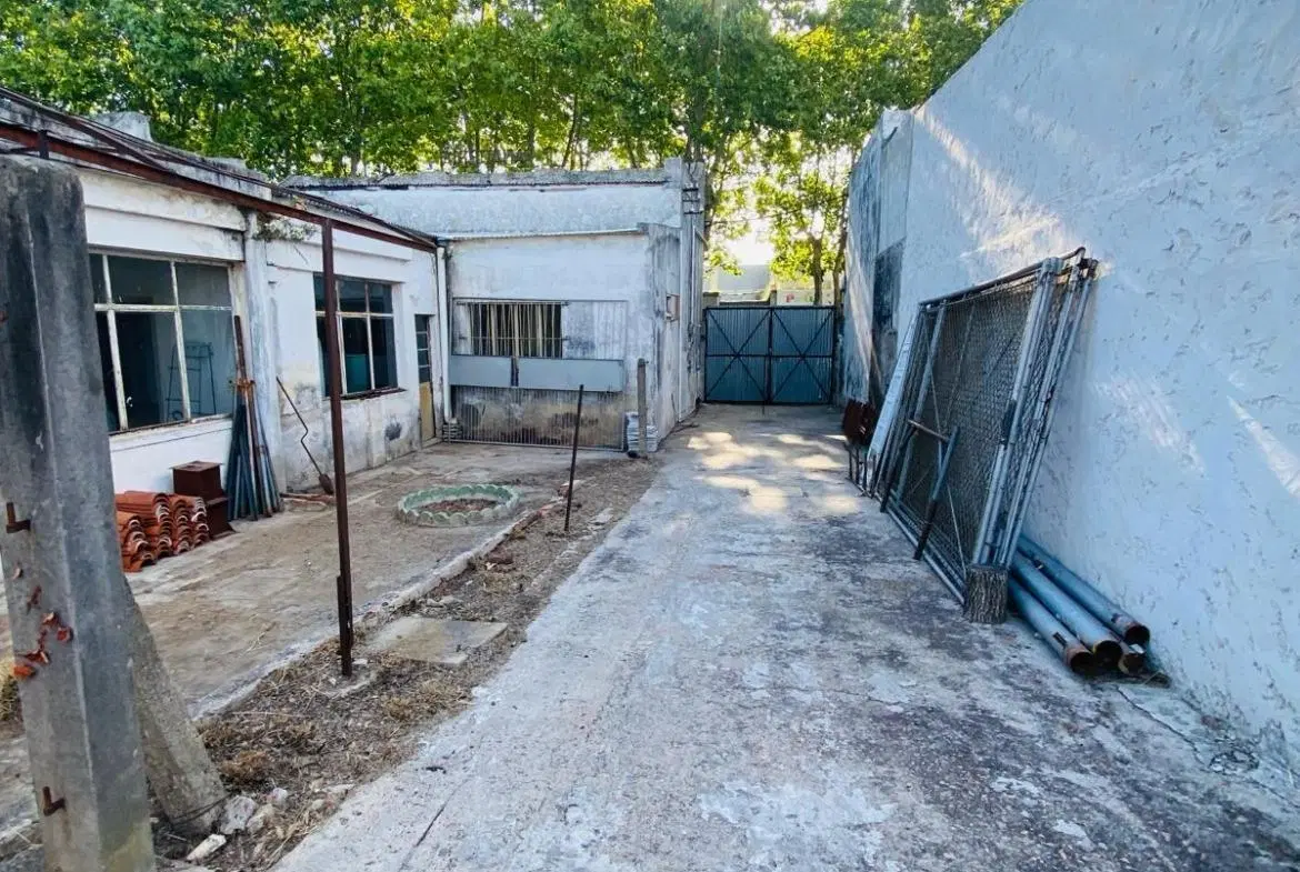 Terreno en venta - 3 Dormitorios 2 Baño - 1353mts2 - Uruguay 2