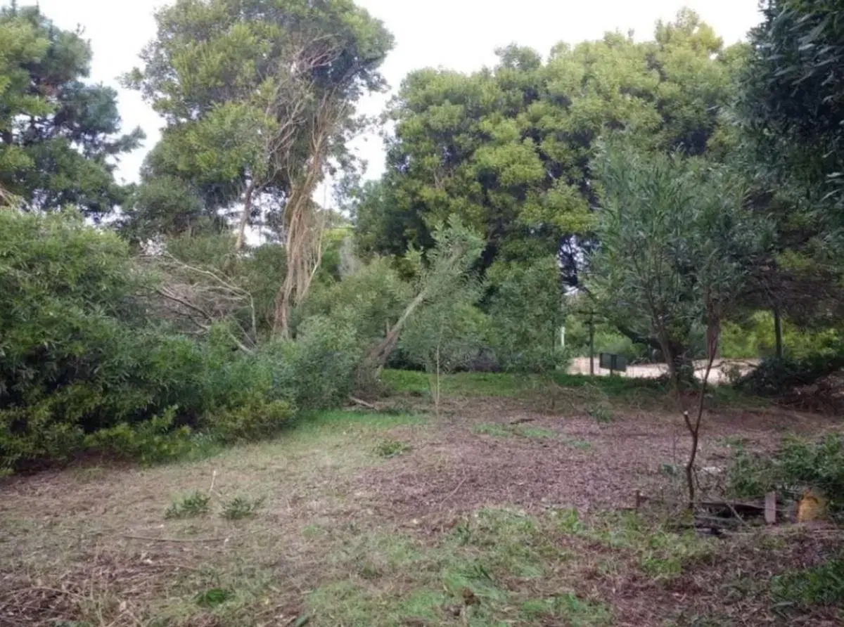 Terreno en venta - 1245mts2 - Las Gaviotas, Villa Gesell 5