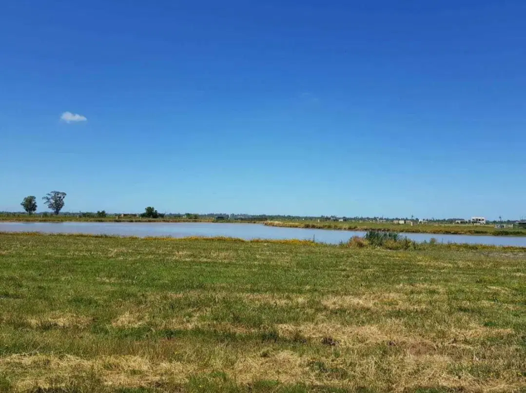 Terreno en venta - 650mts2 - Villalobos - Guillermo Hudson 3