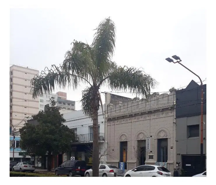 Departamento en venta - 1 Dormitorio 1 Baño - 59Mts2 - Tres Arroyos 4