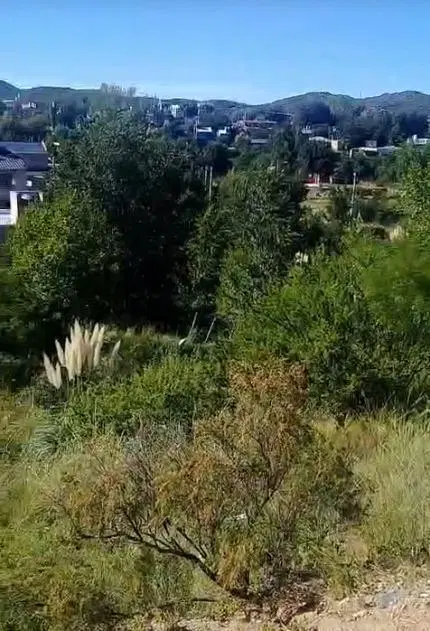 Terreno en venta - 800Mts2 - San Luis 4
