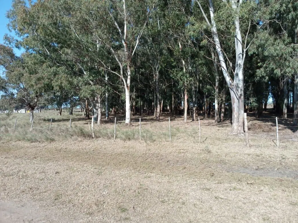 Terreno en venta - 14169 mts2 - Berisso 5