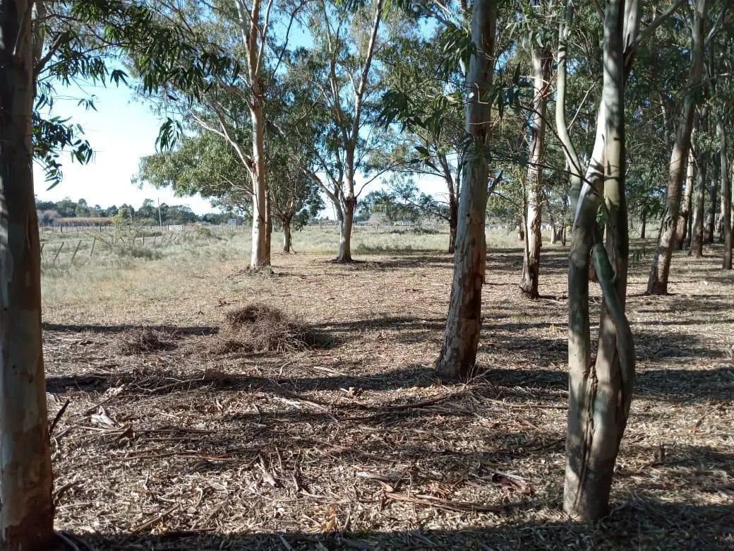 Terreno en venta - 14169 mts2 - Berisso 3