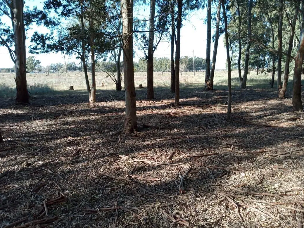 Terreno en venta - 14169 mts2 - Berisso 4